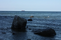 20.08.2013 16:43:55
Kap Arkona
Ostsee 2013
Ostsee-Fotos