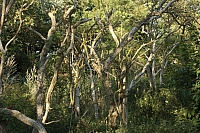 20.08.2013 17:45:12
Kap Arkona
Ostsee 2013
Ostsee-Fotos