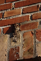 20.08.2013 18:45:38
Kap Arkona
Ostsee 2013
Ostsee-Fotos